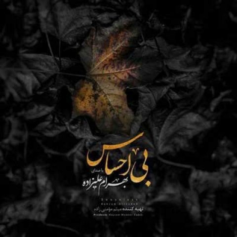 دانلود آهنگ بهرام علیزاده به نام بی احساس