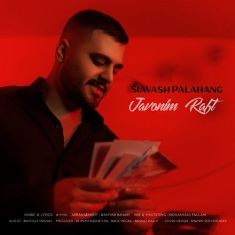 دانلود آهنگ سیاوش پالاهنگ به نام جوونیم رفت