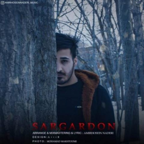 دانلود آهنگ امیرحسین نادری به نام سرگردون