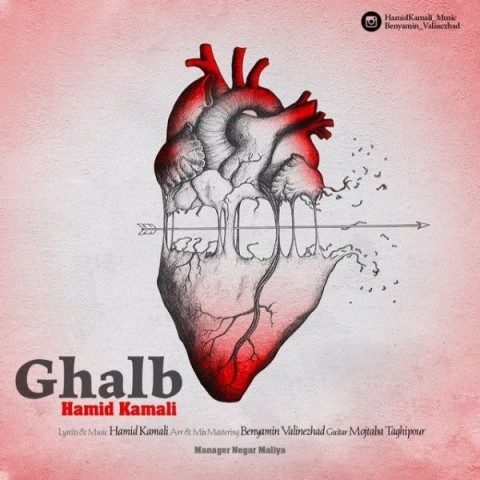 دانلود آهنگ حمید‌ کمالی به نام قلب