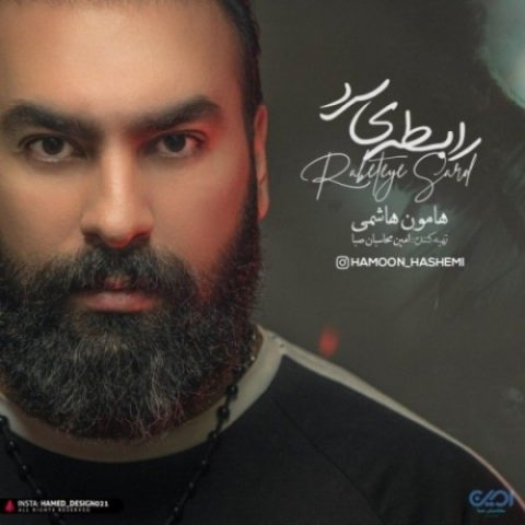 دانلود آهنگ هامون هاشمی به نام رابطه ی سرد
