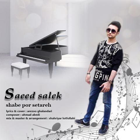 دانلود آهنگ سعید سالک شب پر ستاره