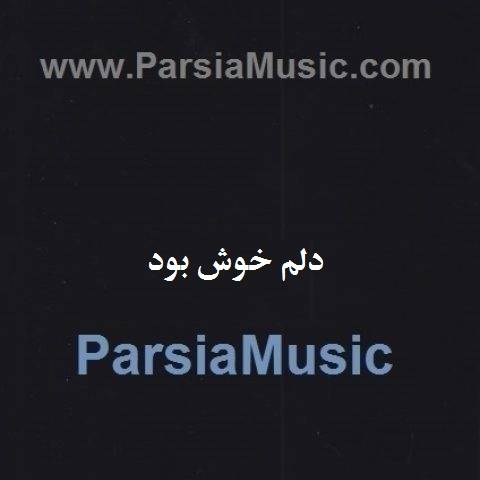 دلم خوش بود یه روز بازم میبینمت