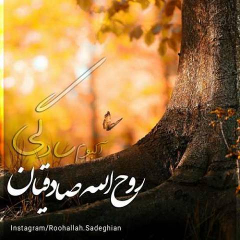 روح اله صادقیان سادگی