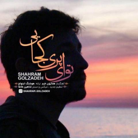 شهرام گلی زاده تو ای پری کجایی