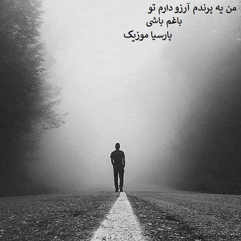 احمد آزاد پرنده
