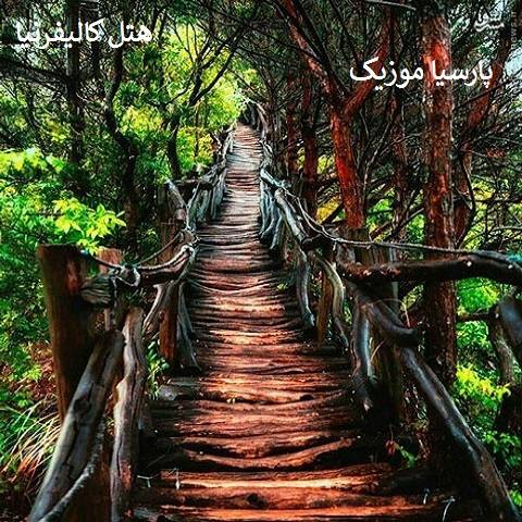 دانلود آهنگ اندی هتل کالیفرنیا