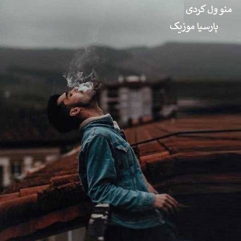 آریا انقلاب منو ول کردی