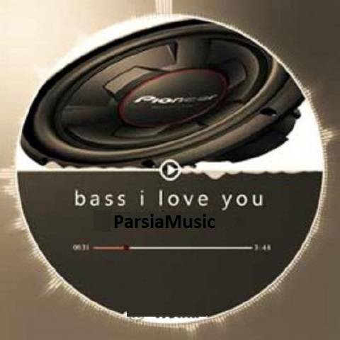 Bassotronics Bass I Love You