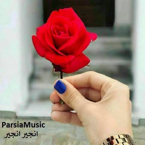 آهنگ زنجیر زنجیر ازبکی با صدای زن