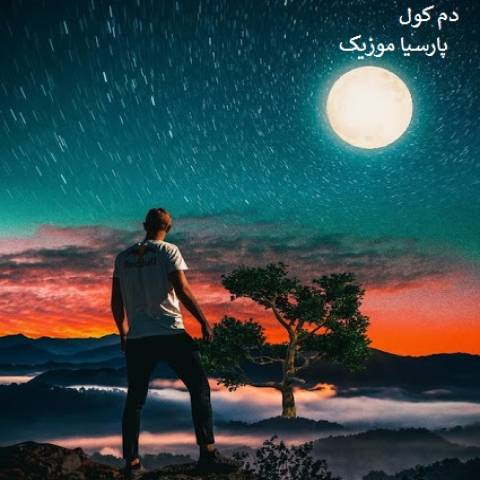 محمدرضا سلطانیان دم کول