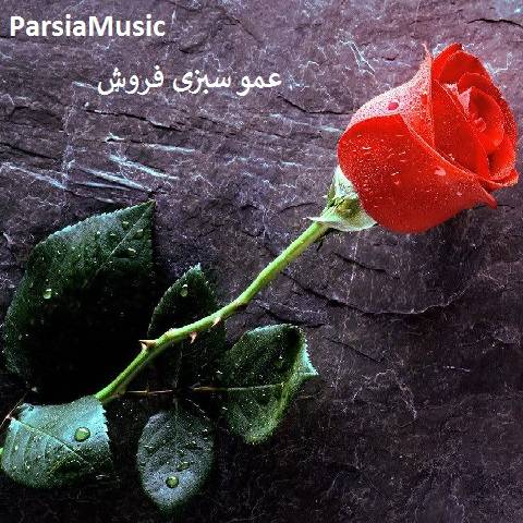 مرتضی احمدی عمو سبزی فروش