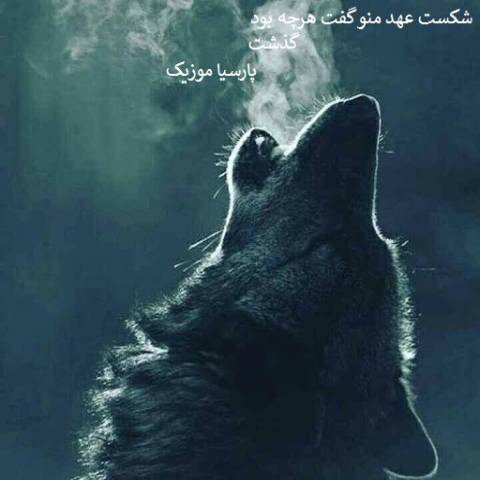 سید جلال الدین محمدیان شکست
