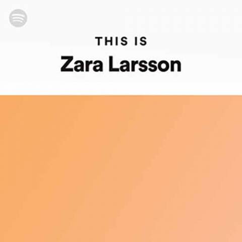 Zara Larsson Ruin My Life