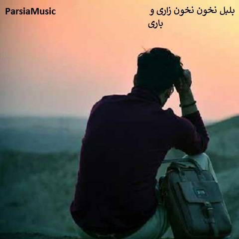مهدی آبگون بلبل نخون