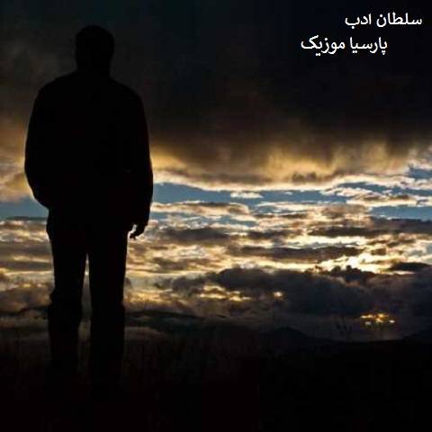  قاسم فاضلی سلطان ادب