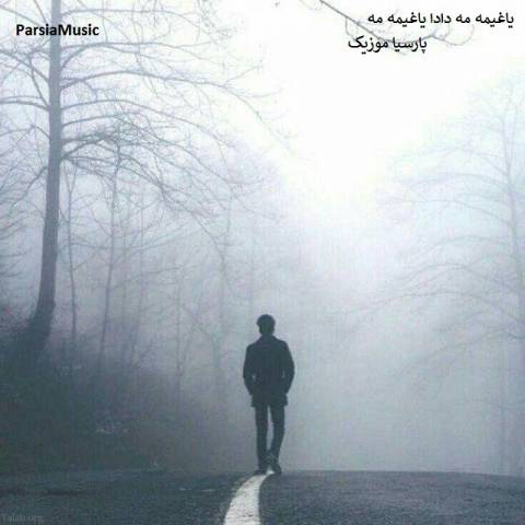  حسین رضایی یاغی