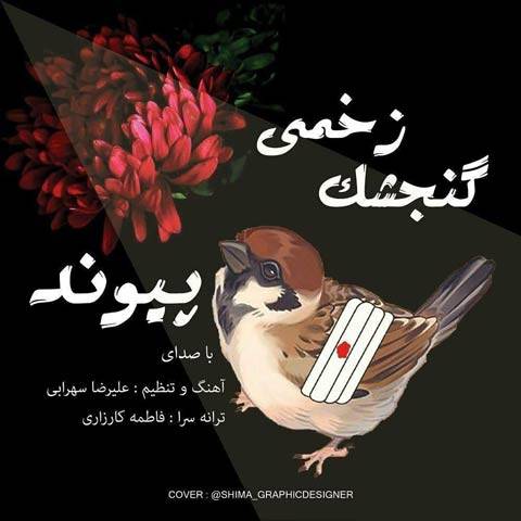 پیوند گنجشک زخمی