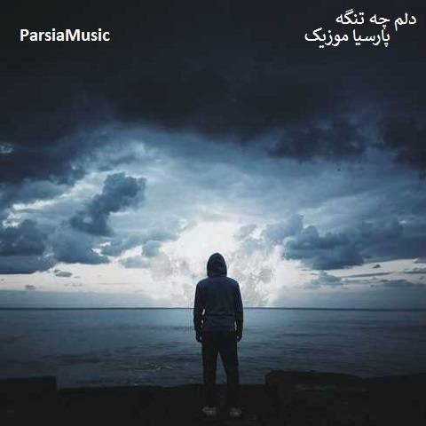 امین ملاها دلم چه تنگه