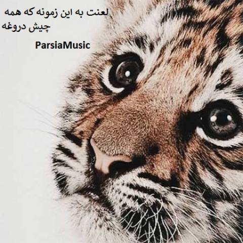 لعنت به این زمونه که همه چیش دروغه