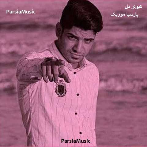 دانلود آهنگ مجتبی ترکاشوند به نام کبوتر دل
