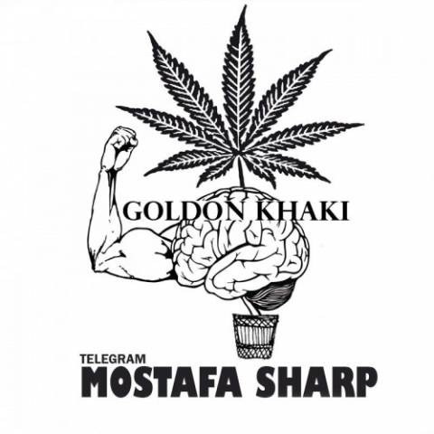مصطفی شارپ گلدون خاکی