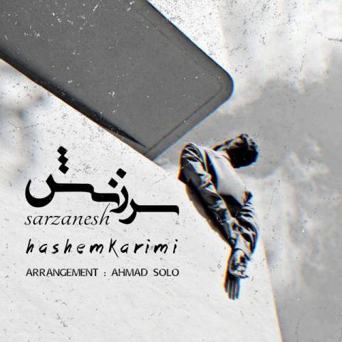 سرزنش از هاشم کریمی
