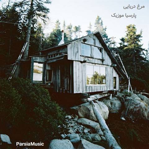 صدای مرغان دریایی و دریا
