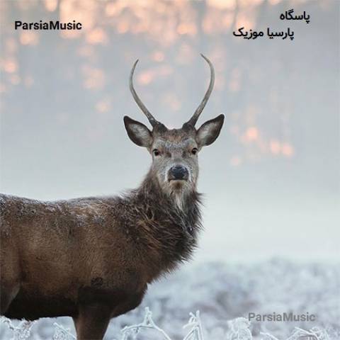 پاسگاه از محمد حاتم زاده