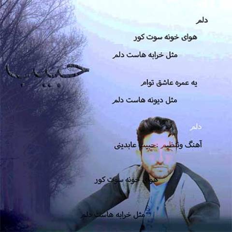 دلم از حبیب عابدینی