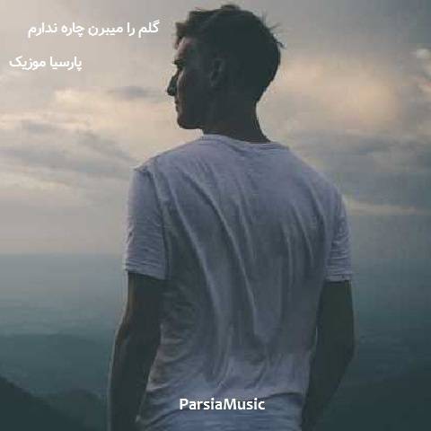گلم را میبرن چاره ندارم از سعید کریمی