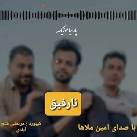 نارفیق از امین ملاها
