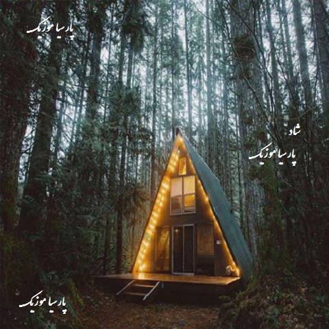 شاد از شماعی زاده