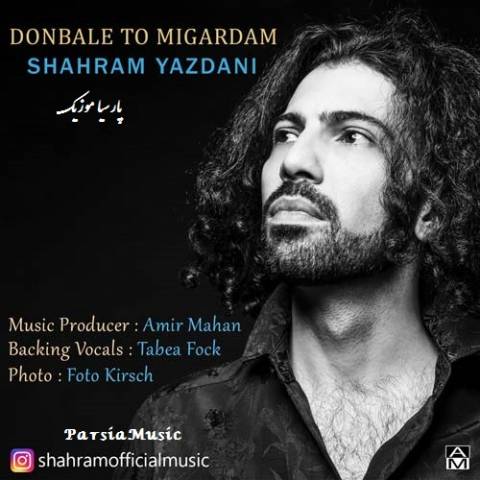 دانلود آهنگ شهرام یزدانی به نام دنبال تو میگردم