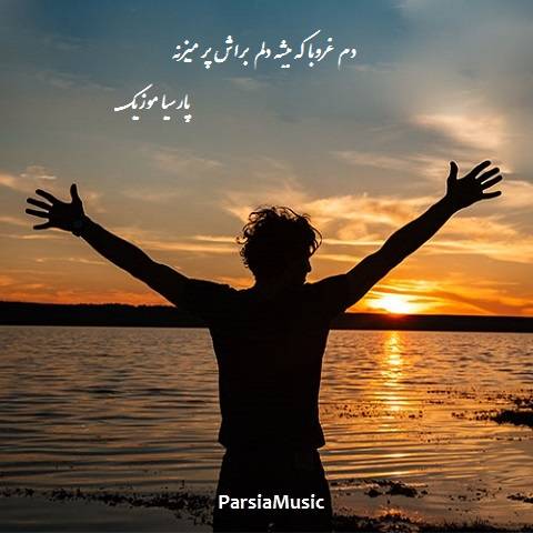 دانلود آهنگ علی احمدیانی به نام دلم براش پر میزنه