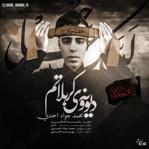 دیوونه ی کربلاتم از محمد جواد احمدی