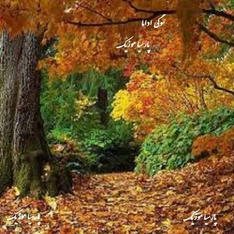 دانلود آهنگ تورال صدالی به نام سوگی اداما
