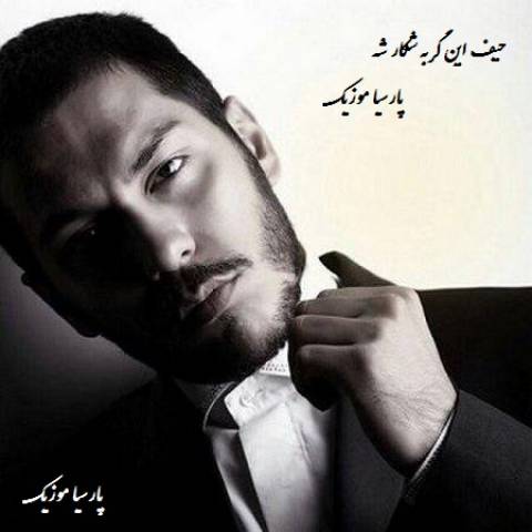 دانلود آهنگ امیر قیامت به نام حیف این گربه شکار شه