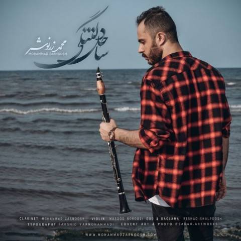 دانلود آهنگ محمد زرنوش به نام ساحل دلتنگی