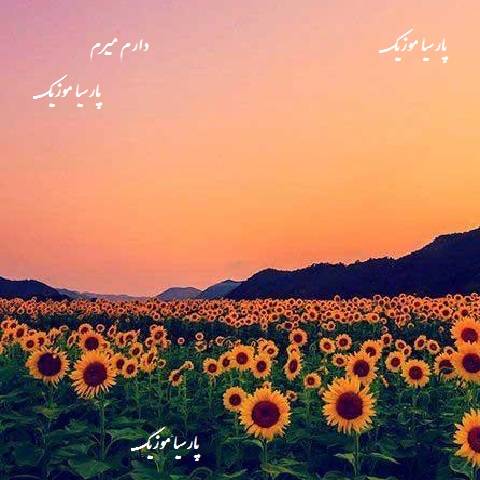 Hala Ke Daram Miram Ye Darya Beynemoone
