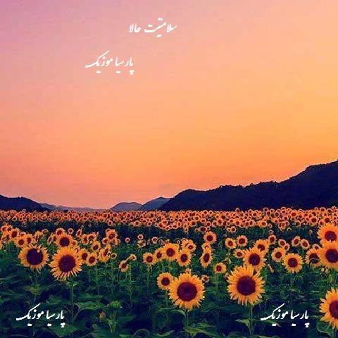 دانلود آهنگ این پیکو میرم بالا سلامتیت حالا