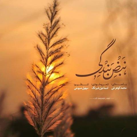 دانلود آهنگ محمد کوهرخی به نام نبض بندگی