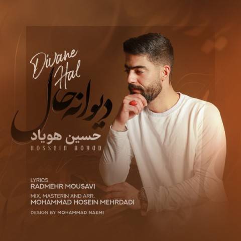 آهنگ حسین هویاد دیوانه حال