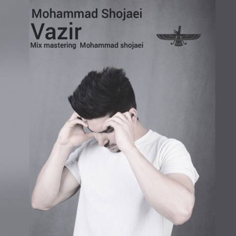 دانلود آهنگ محمد شجاعی به نام وزیر