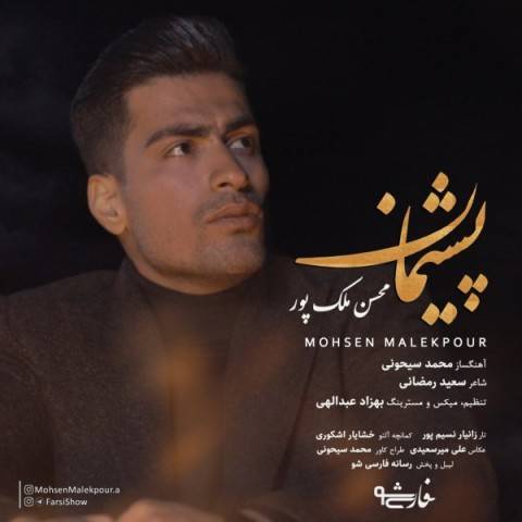 دانلود آهنگ محسن ملک پور پشیمان
