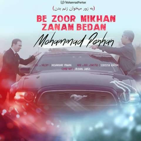 دانلود آهنگ به زور میخوان زنم بدن