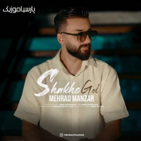 دانلود آهنگ مهراد منظر شاخه گل