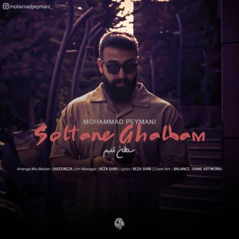 دانلود آهنگ محمد پیمانی سلطان قلبم