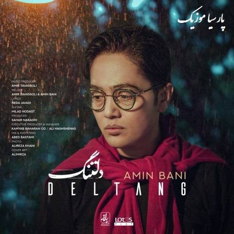 دانلود آهنگ امین بانی دلتنگ