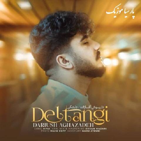 دانلود آهنگ داریوش آقازاده دلتنگی